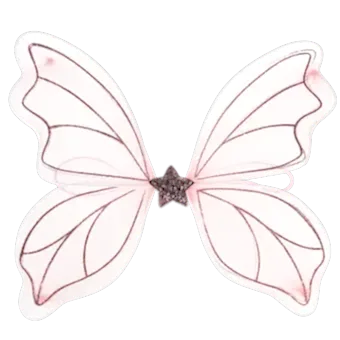 Fairy wings - Fairies in the Garden