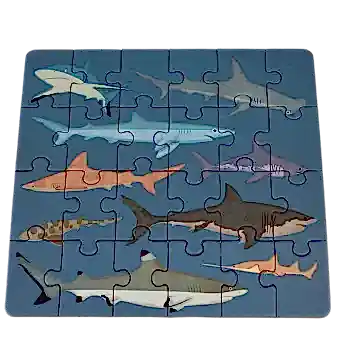 Mini jigsaw puzzle - Sharks