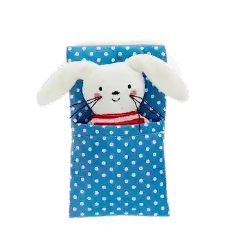 bunny-in-a-little-box