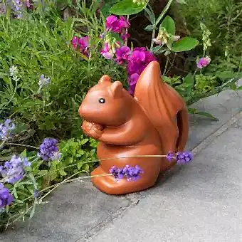 Watering can (1.6Ltr) - Squirrel