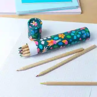 Long tube of colouring pencils - Fairies in the Garden