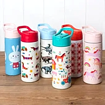 Stainless steel bottle with push button lid 500ml