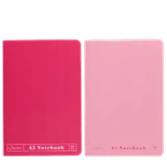A5 notebooks (set of 2) - Pinks