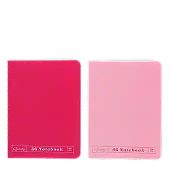 A6 notebooks (set of 2) - Pinks