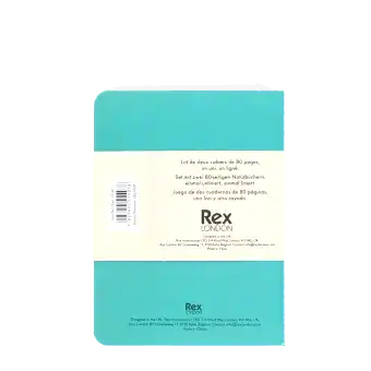 A6 notebooks (set of 2) - Green & aqua