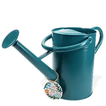 Galvanised steel watering can 4.5L - Blue