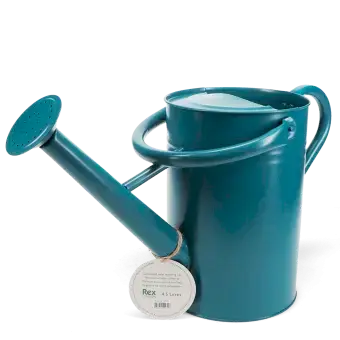 Galvanised steel watering can 4.5L - Blue