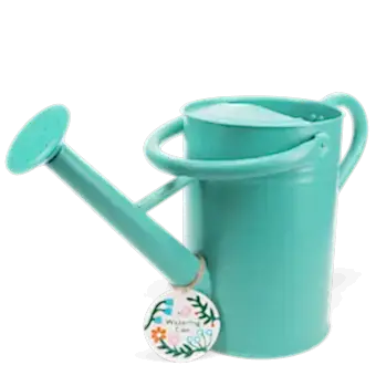 Galvanised steel watering can 4.5L - Aqua