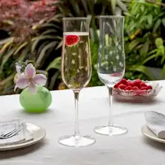 Etched star champagne glasses (set of 2) - Clear