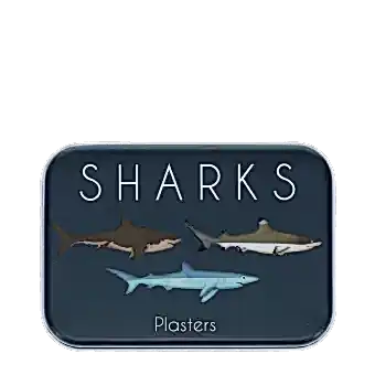 Sharks-themed plasters storage tin