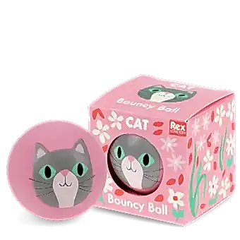 Pink bouncy ball with a cat face design next to its matching box