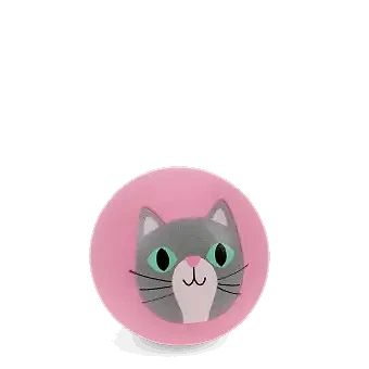 Pink bouncy ball with a cat face design