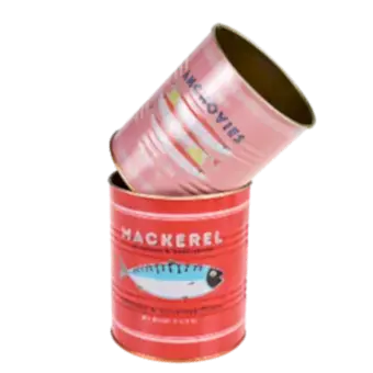 Fish Storage Tins (set Of 2)