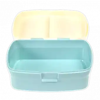 Best In Show Lunch Box With Tray