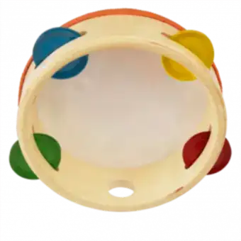 Wild Wonders Tambourine