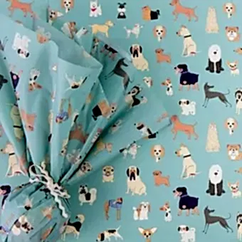 Best In Show Tissue Paper (10 Sheets)