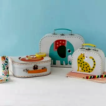 Wild Wonders Cases (set Of 3)