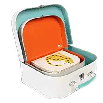 Wild Wonders Cases (set Of 3)