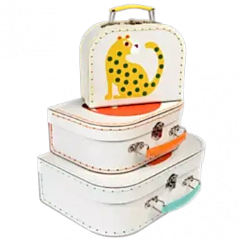 Wild Wonders Cases (set Of 3)