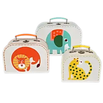 Wild Wonders Cases (set Of 3)