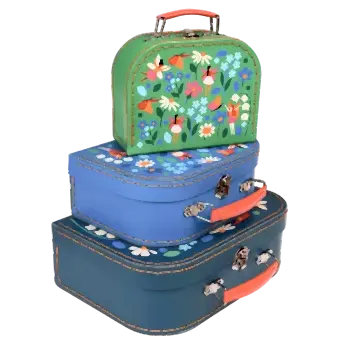 Fairies In The Garden Cases (set Of 3)