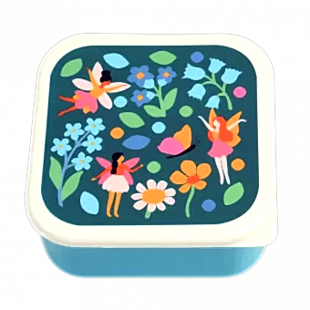 Fairies In The Garden snack box large