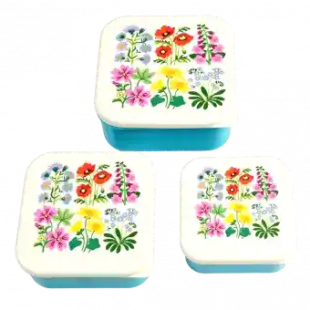 Three plastic snack boxes large medium small featuring wild flower pattern