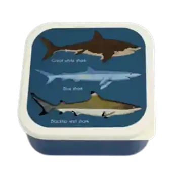 Sharks snack box large