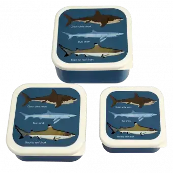 Three plastic snack boxes large medium small featuring images of sharks