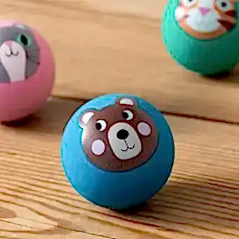 Blue bouncy ball with a bear face design