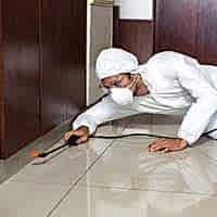 General Pest Control Services