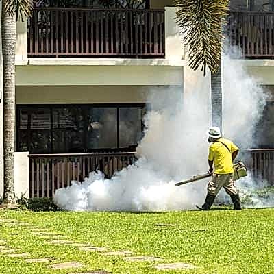 Mosquito Pest Control Services