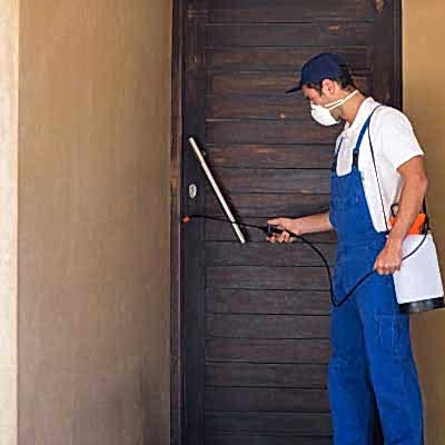 Termite Pest Control Services