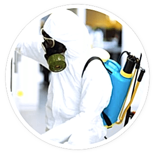 man doing sanitization