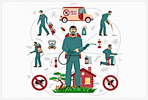 man performing various pest control activities man performing various pest control activities
