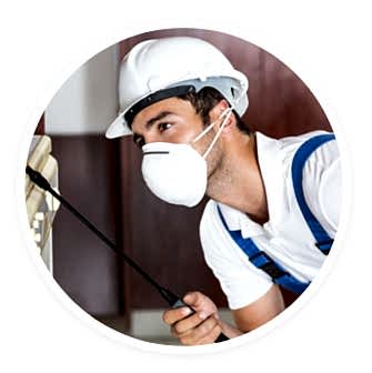 man doing pest control spray man doing pest control spray