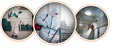 commercial fumigation and sanitization