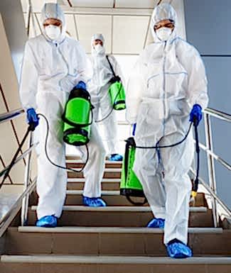 commercial fumigation and sanitization