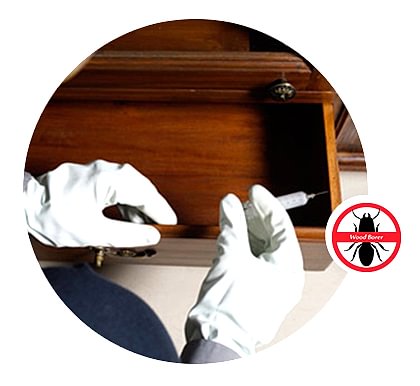 Injecting pesticides to treat wood borers Injecting pesticides to treat wood borers
